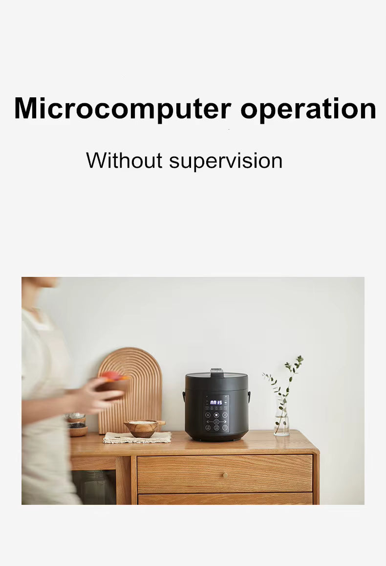 750W 2L Electric Rice Cooker Ceramic Glaze Pot 24H Pressure Cooker