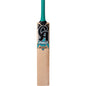 CA Pro 2000 English Willow Cricket Bat