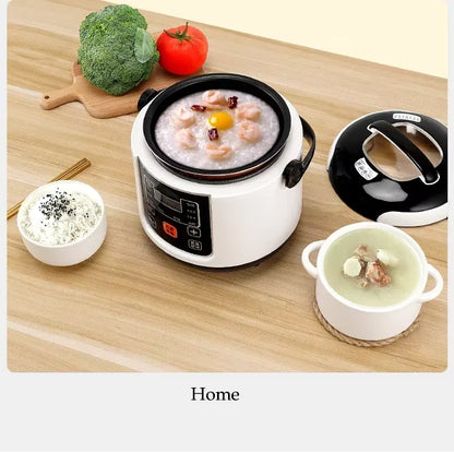 12V 24V 220V Mini Rice Cooker Car Truck Soup Porridge Cooking Machine Food Steamer Heating Lunch Box Meal Heater Warmer 2L