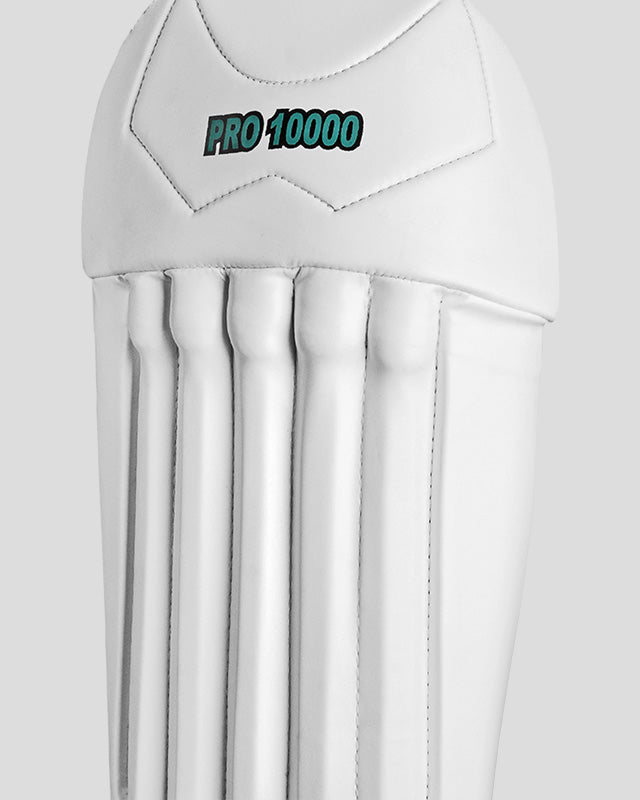 CA Pro 10000 Wicket Keeping Pads