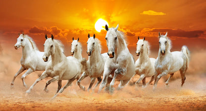 Purilite Select – Galloping Grace 7 White Horses Modern Canvas Wall Art